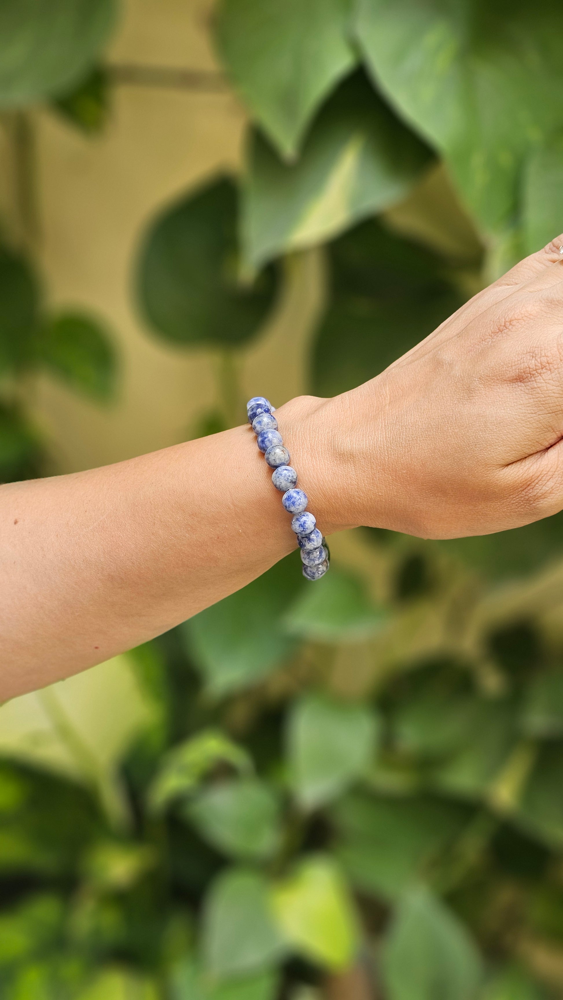 Sodalite Bracelet