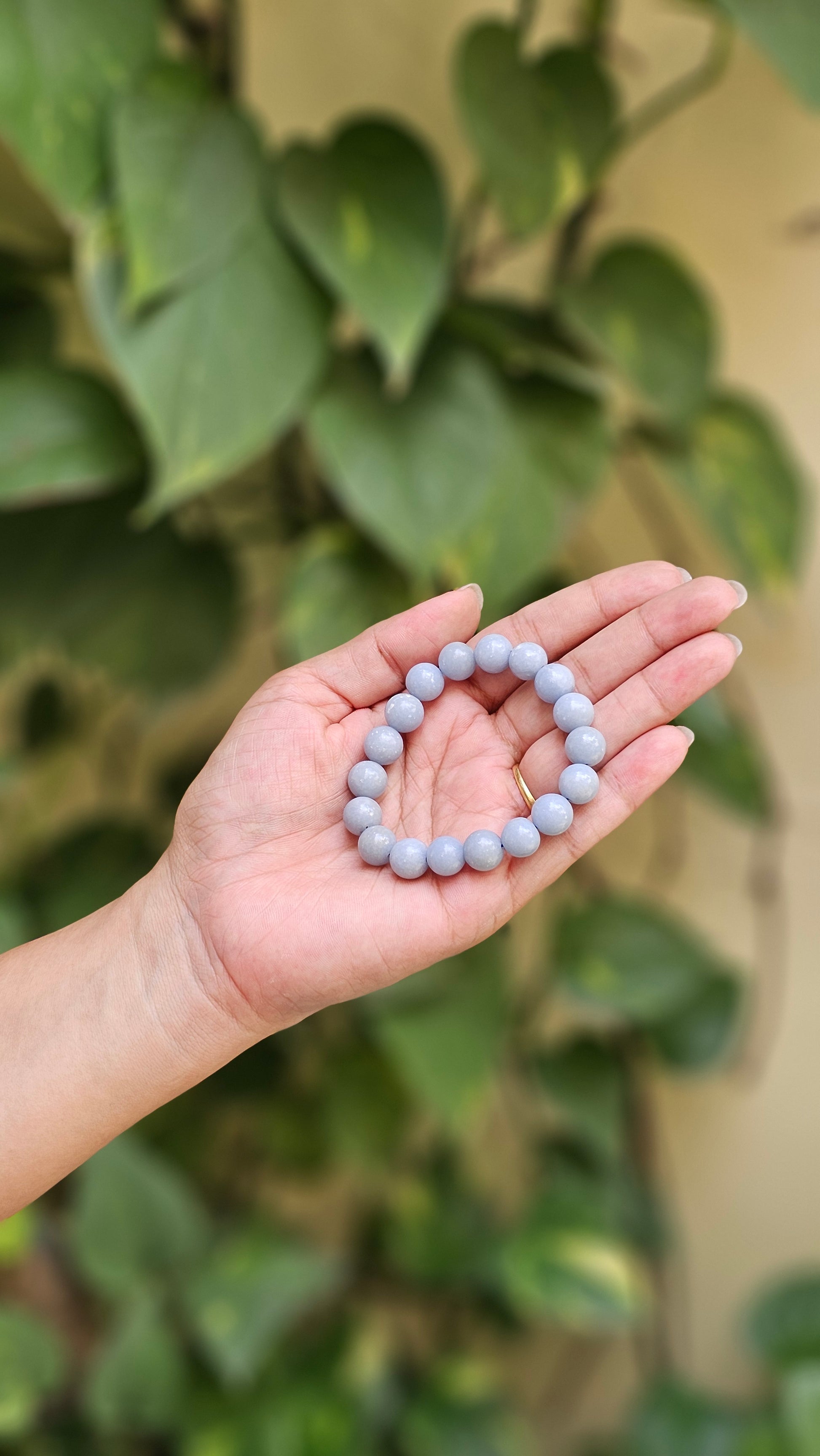 Angelite Bracelet