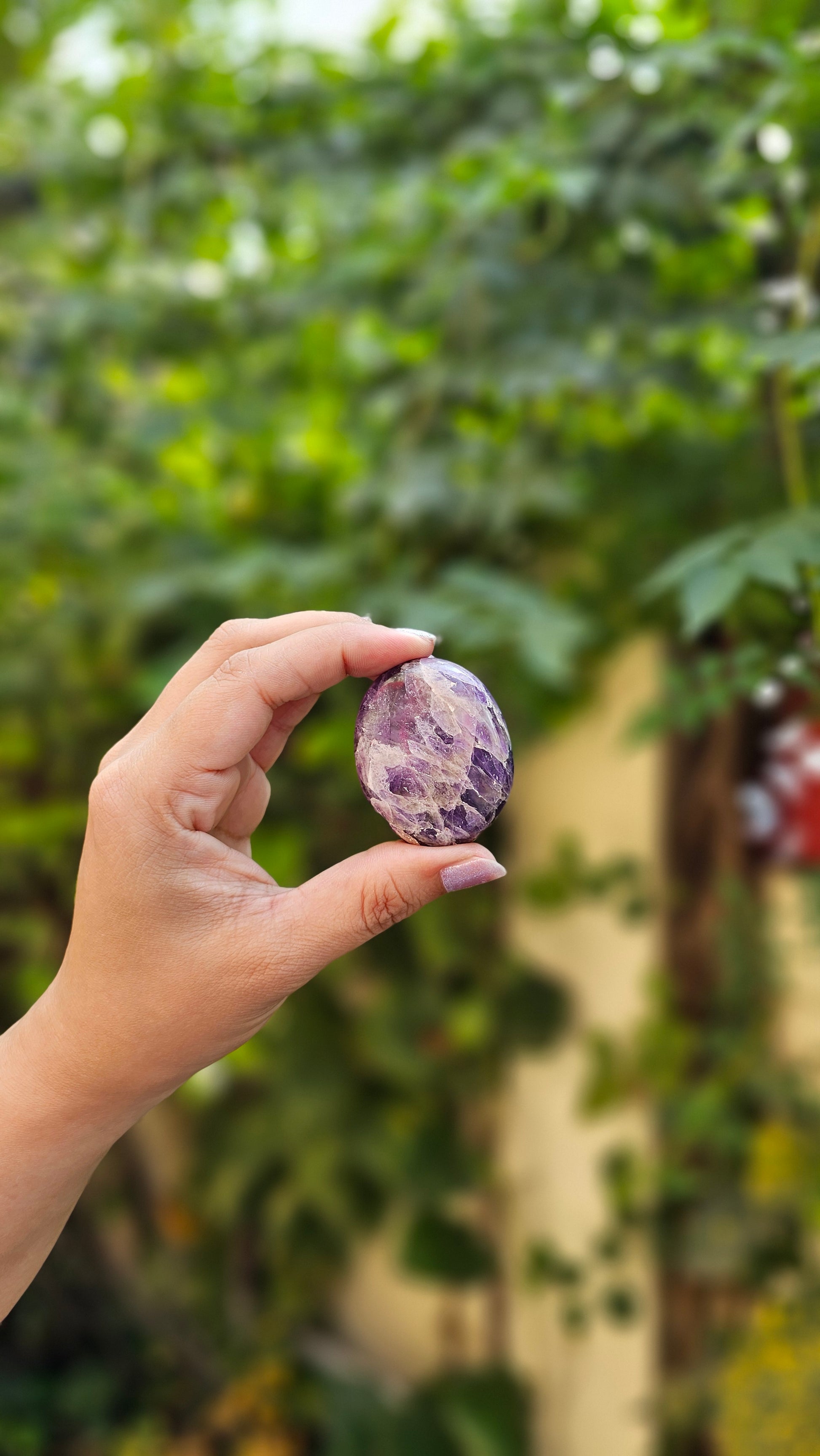 Amethyst Palm Stones