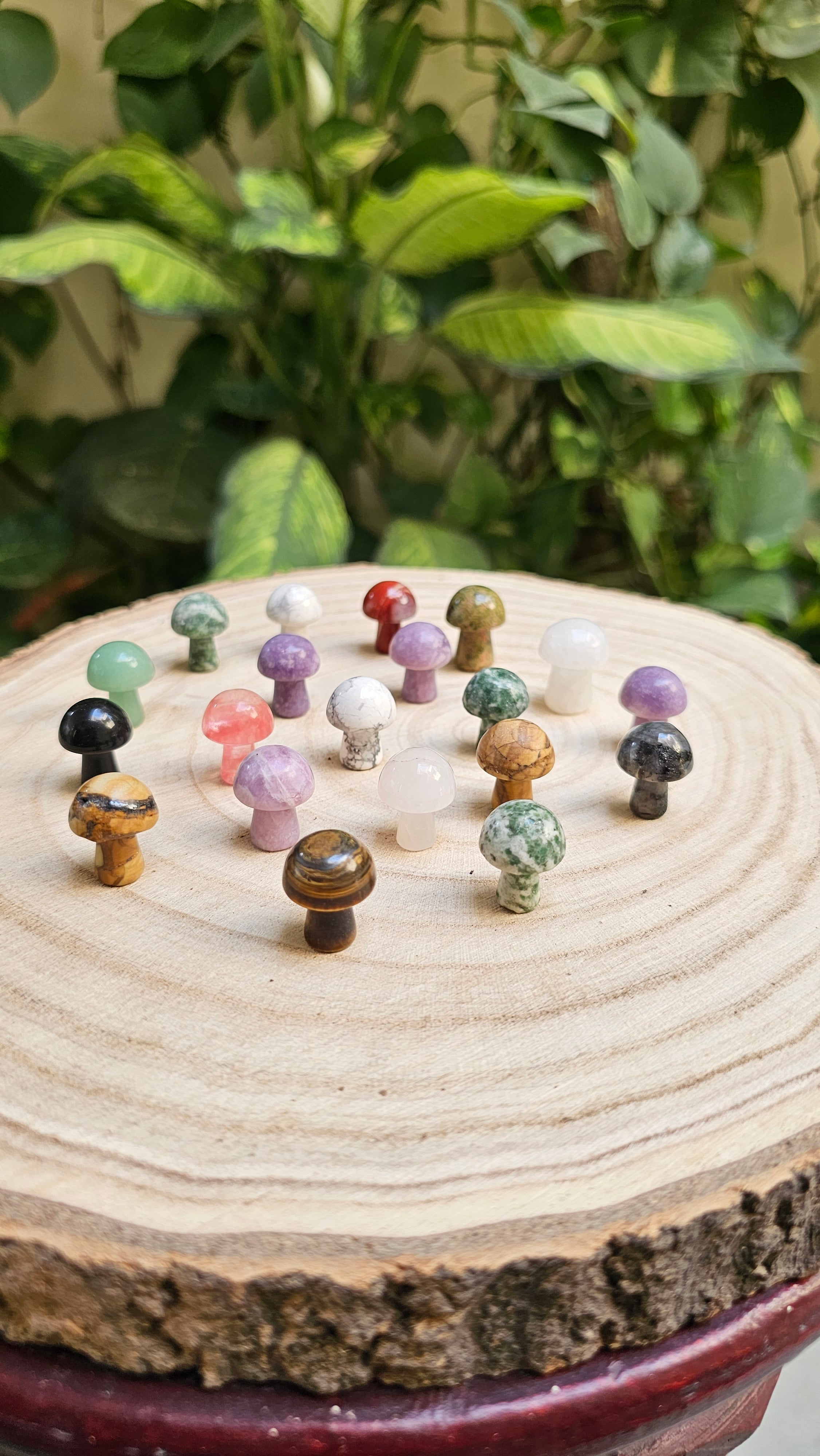 Mushrooms