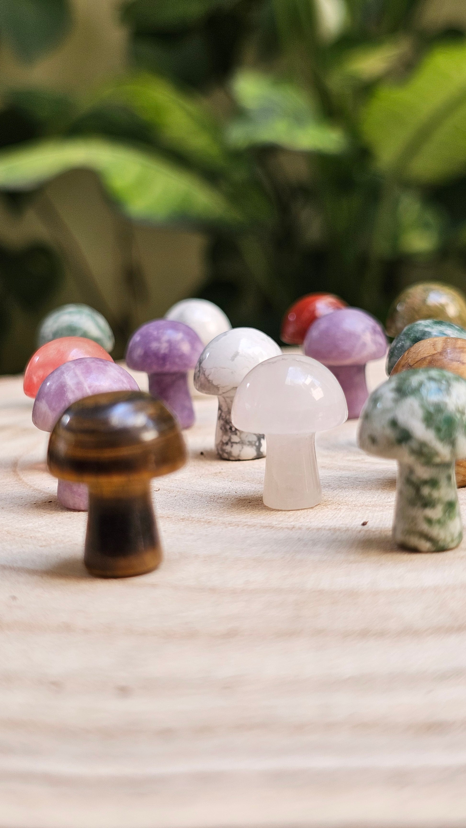 Mushrooms