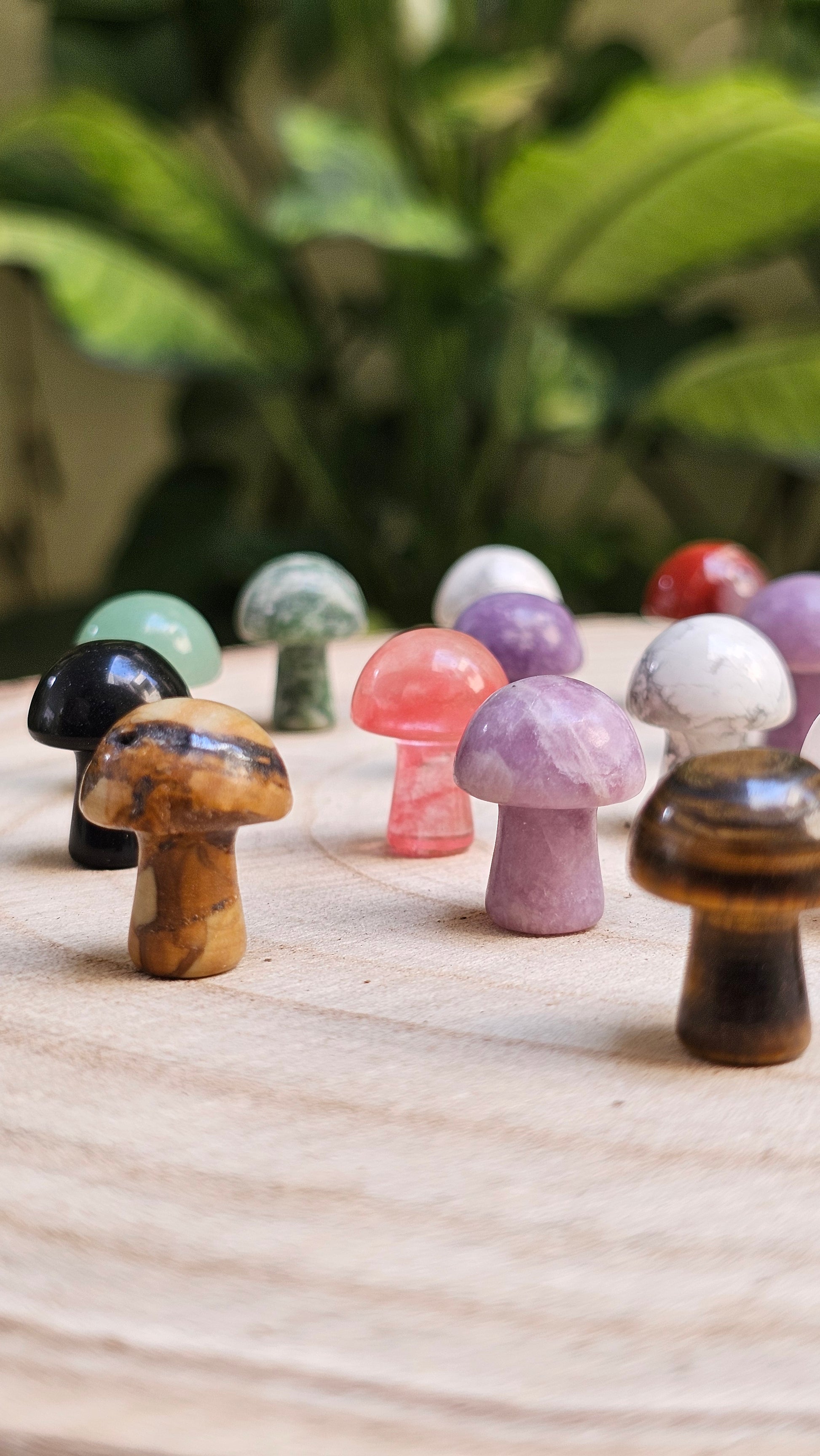 Mushrooms