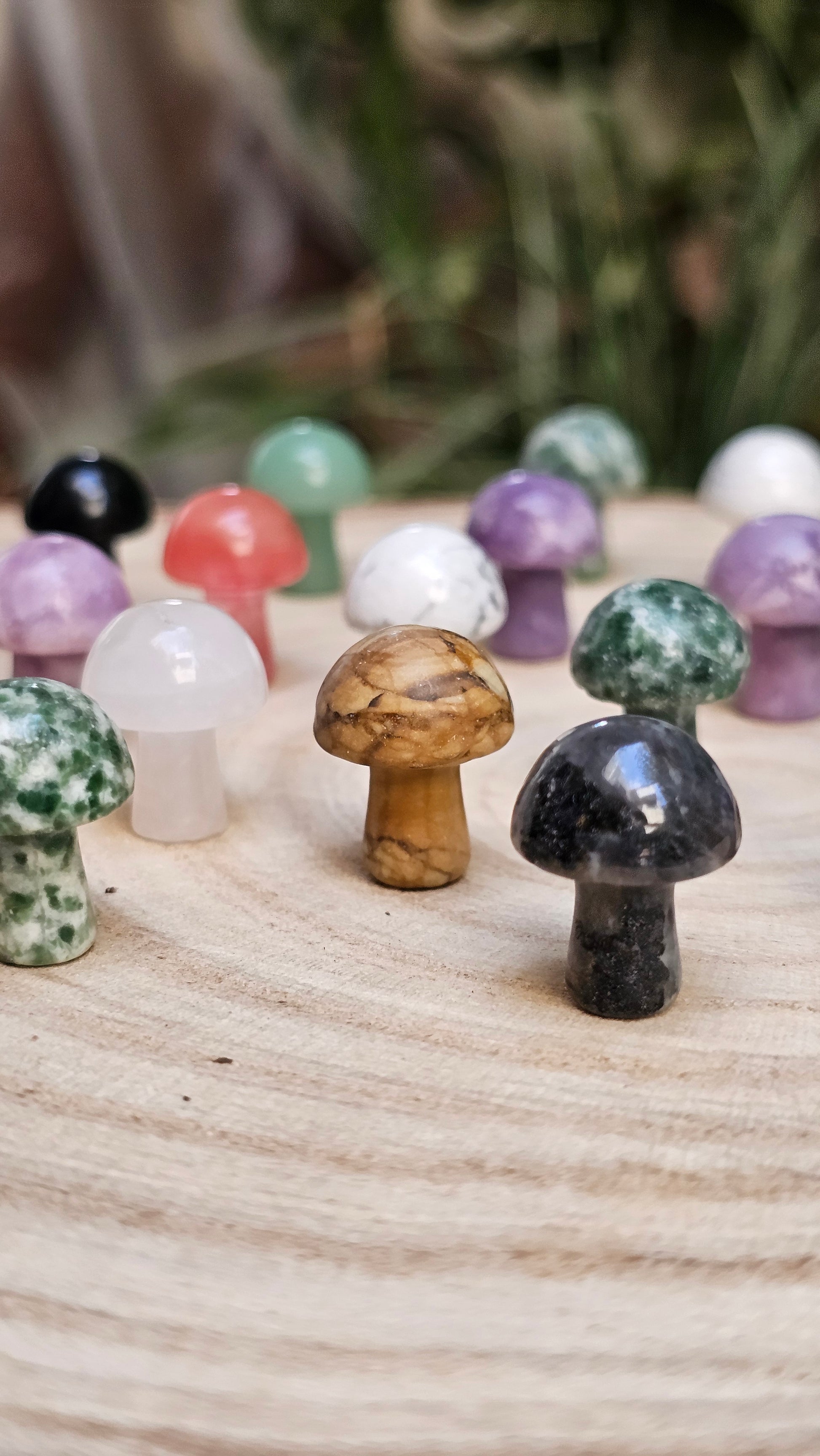 Mushrooms