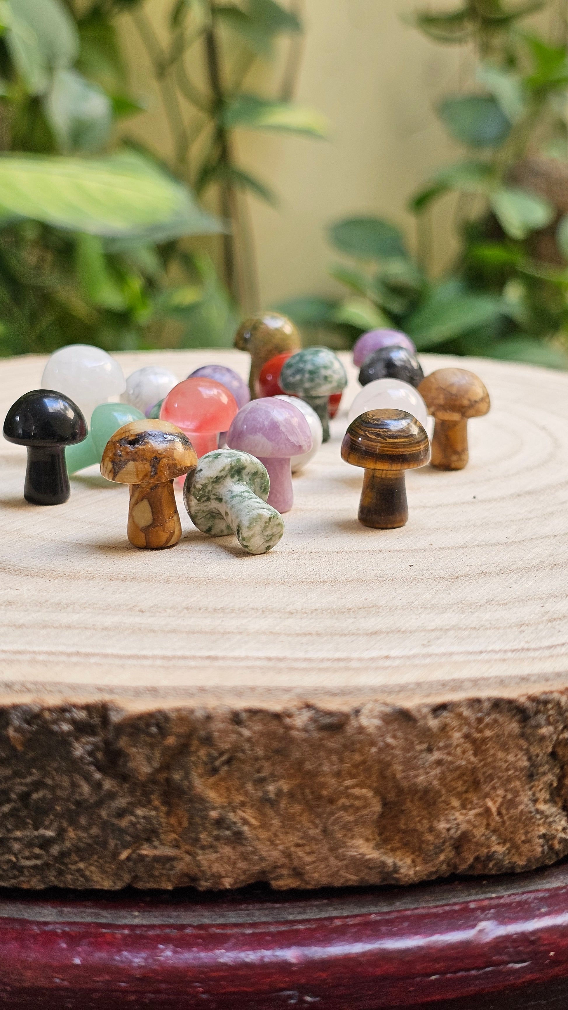 Mushrooms